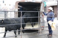 2-2-2018-Beef-Breeders-12